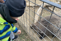 Na návštěvě na farmě