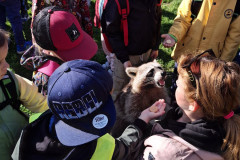 Naše výlety a akce (farmy, Zoo, tematické návštěvy,...)